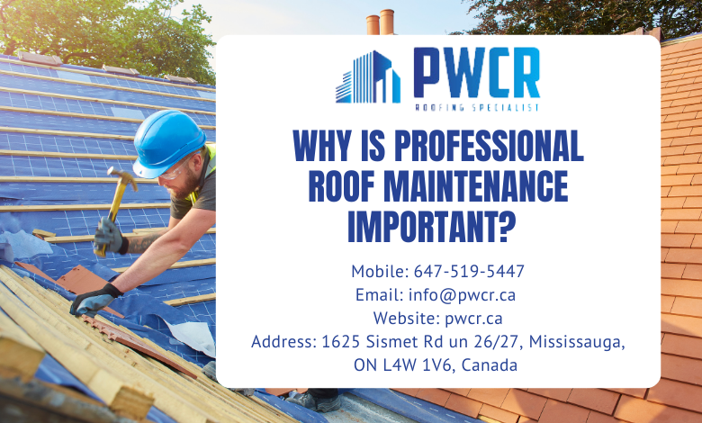why-is-professional-roof-maintenance-important