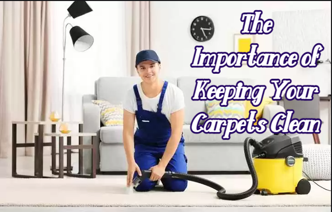 Carpet Cleaning